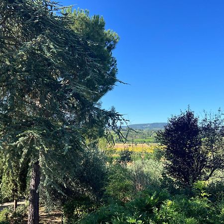 Casa Isidora Daire Acquaviva  Dış mekan fotoğraf